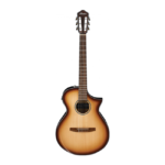 Ibanez AEWC300N-NNB