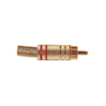 Roxtone RCA Plug Gold - Red Band